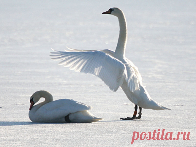 В МИРЕ КРАСИВЫХ КАРТИНОК - Группы Мой Мир