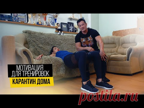Домашняя тренировка для начинающих