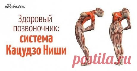 Эти упражнения улучшают кровоснабжение мозга, выпрямляют позвоночник,  освобождает сосуды от зажимов Здоровый позвоночник - основа хорошего  самочувствия. Нарушение осанки, искривление позвоночника нарушают  циркуляцию крови, а значит к клеткам перестает поступать полноценное  питание и достаточное количество кислорода.
            Кацудзо Ниши, известный благодаря системе «Золотые правила  здоровья», разработал короткий и простой комплекс, включающий 4  упражнения для позвоночника, позволяющий