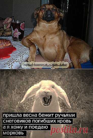 Сфоткай меня, типа я хозяин.)))