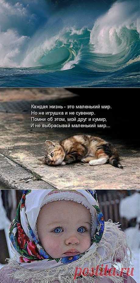 (4) Facebook