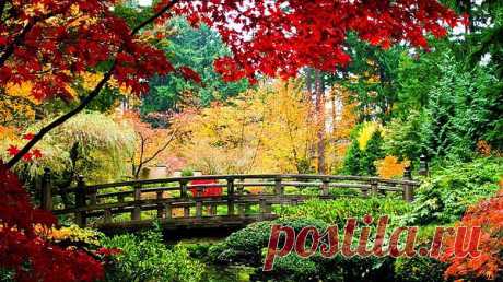 природа