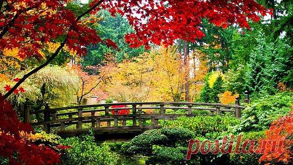 природа