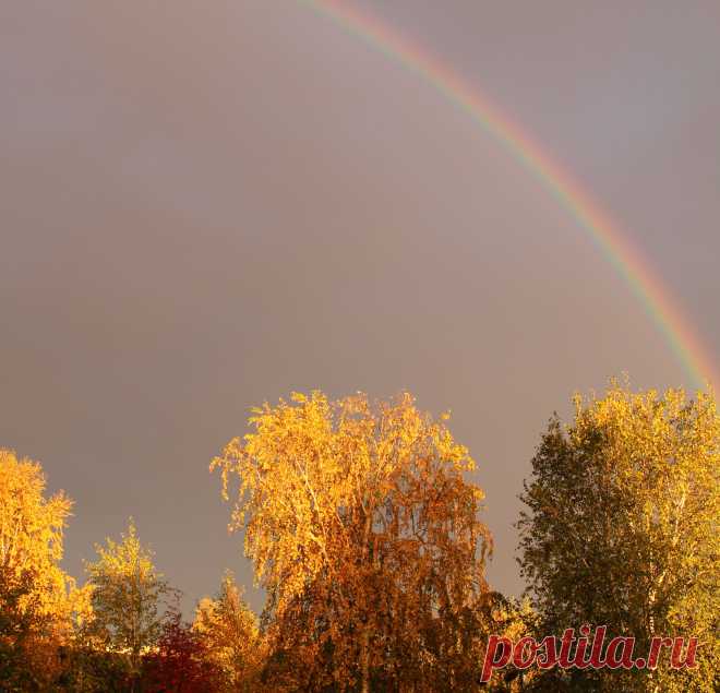 В лучах заходящего солнца ..