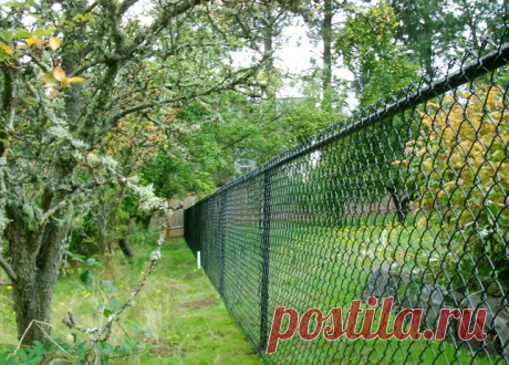 Заборы из сетки рабицы