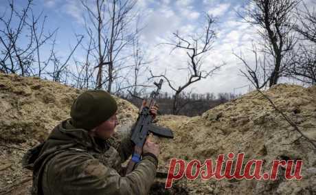 WP рассказала, как лесополосы стали жизненно важны в боях на Украине. В украинской степи войска используют ветрозащитные посадки деревьев для укрытия техники, окопов, блиндажей, отдыха. «Ценятся» широкие и густые лесополосы, еще один плюс — расположение на возвышенности