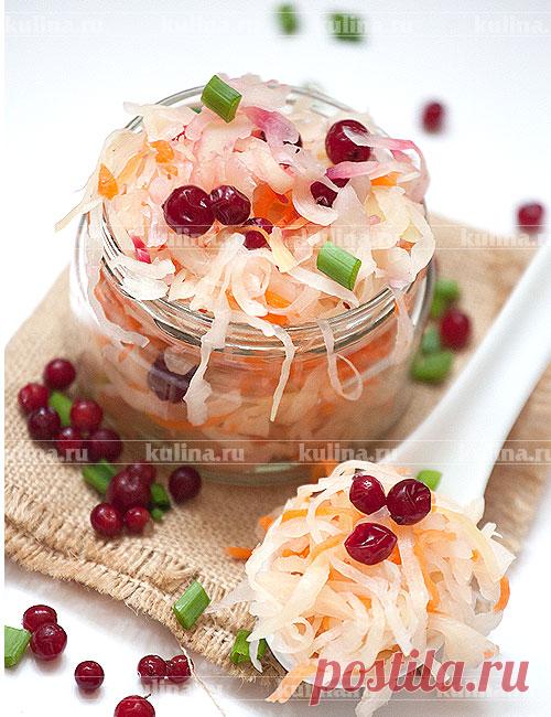 Хрустящая квашеная капуста – рецепт приготовления с фото от Kulina.Ru
