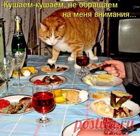 За Новогодним  сидели