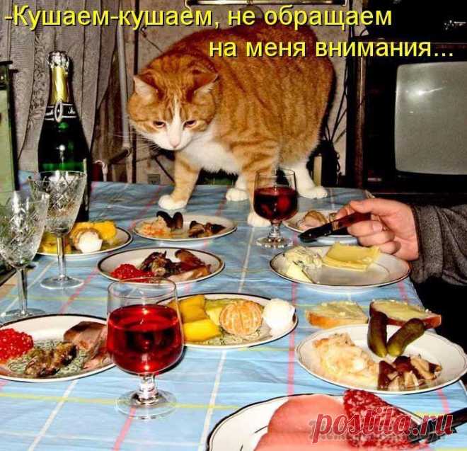 За Новогодним  сидели