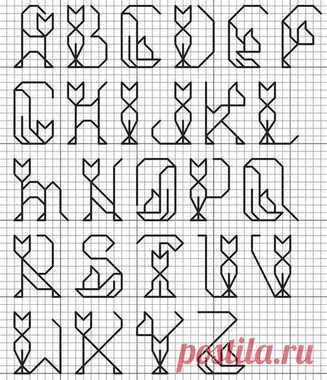 Есть латиница, а есть — котиница