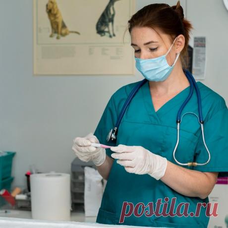 ⚕️ Дистанционная аккредитация в ведущих учебных центрах
📖 Полное сопровождение 👀 Большой опыт 💝 Приятные цены
🌍 Москва, Большая почтовая, д. 55/59 стр. 1 📞 +7(911)119-65-21