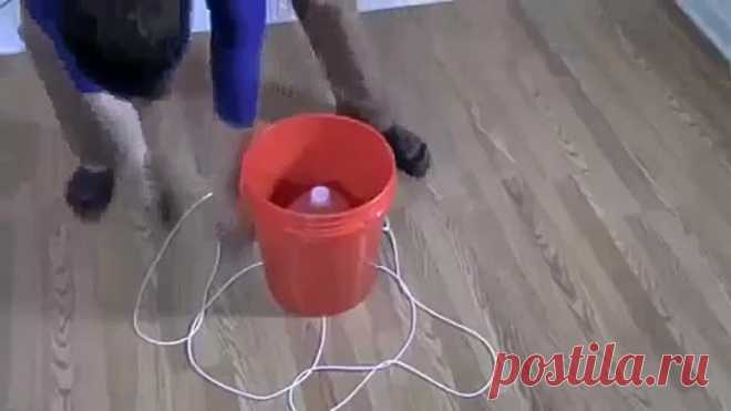 Авоська для ведра без ручки