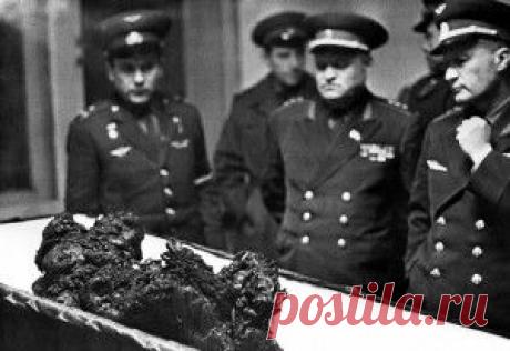 Позитивные цветочные горшочки