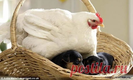 Мой Мир@Mail.Ru