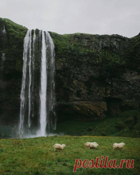 (4) Мой Мир@Mail.Ru