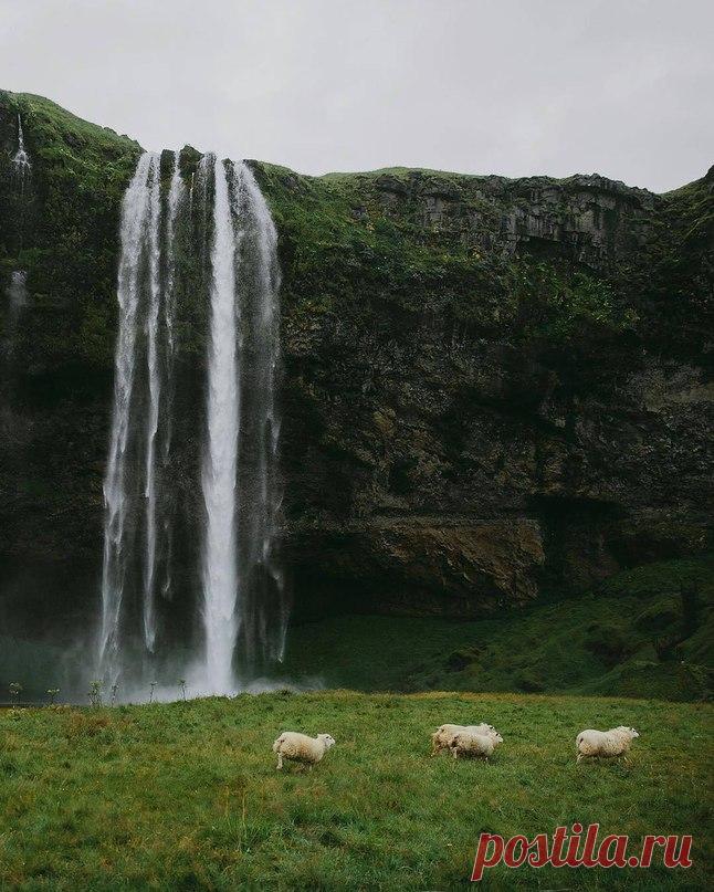 (4) Мой Мир@Mail.Ru