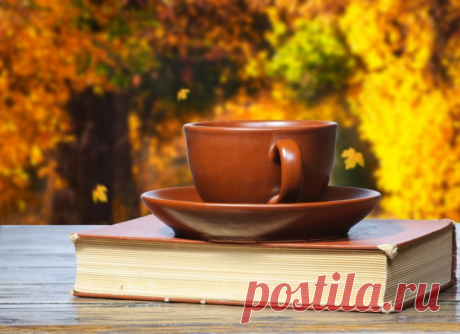 Список осенних книг для уютных вечеров | Книжный Лес | Яндекс Дзен