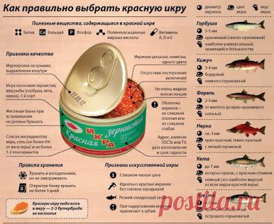 Как правильно выбирать красную икру