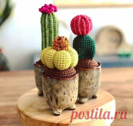 by @dehaakzaak
#ami_флора #amigurumi_zakutok #amigurumi