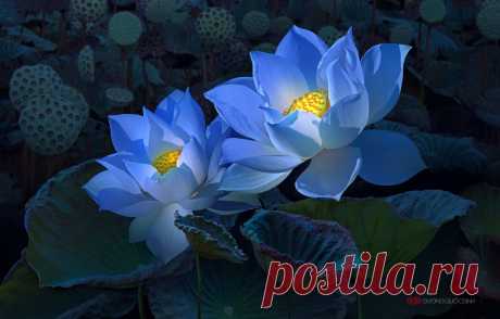 duongquocdinh (Duong Quoc Dinh) - DeviantArt