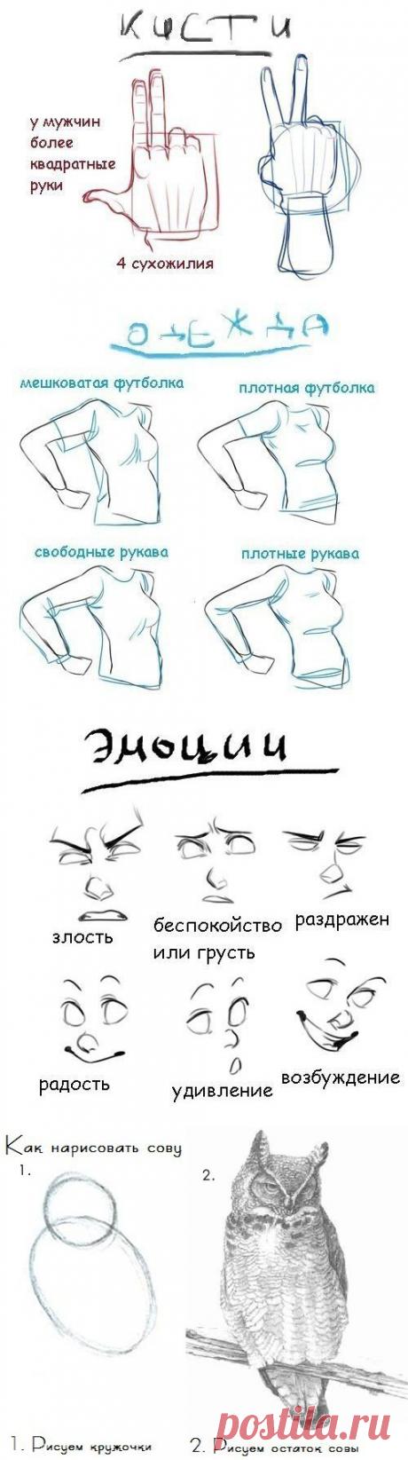 Смотри и слушай - Учимся рисовать