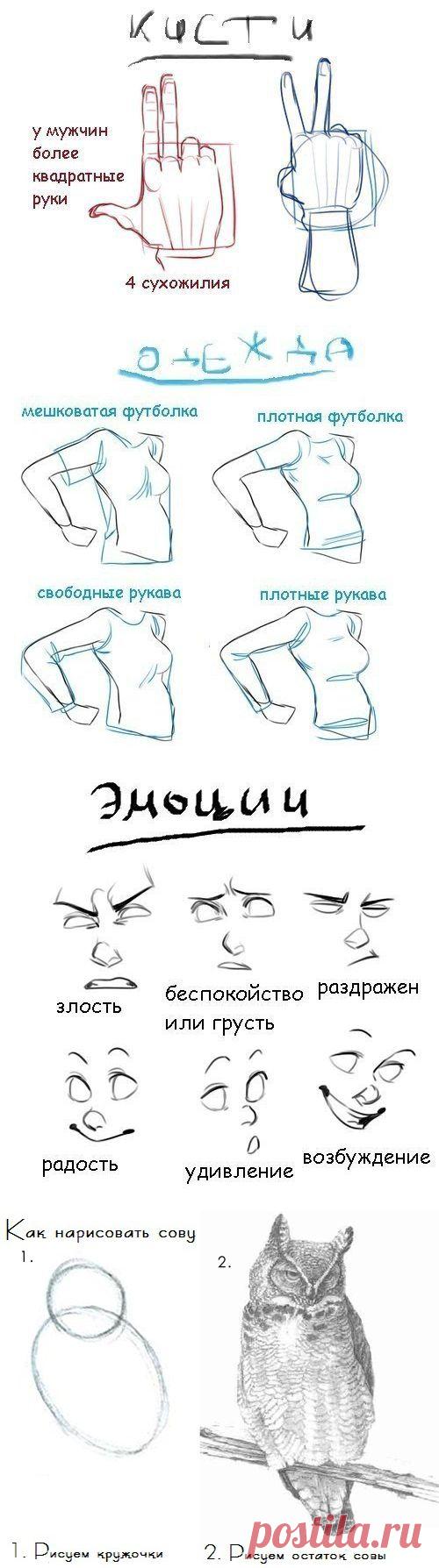 Смотри и слушай - Учимся рисовать