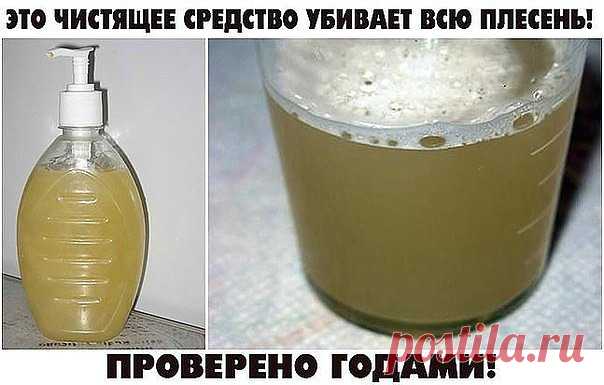 ЭТО ЧИСТЯЩЕЕ СРЕДСТВО УБИВАЕТ ВСЮ ПЛЕСЕНЬ! ПРОВЕРЕНО ГОДАМИ!

Всем советую! У нас старый дом и раньше постоянно заводилась плесень. Покупали дорогую химию, убирало, но ненадолго. По совету соседки сделали это средство и вот уже 4-й год плесени не видно! Держите рецепт:
• 2 ч. л. эфирного масла чайного дерева (для дезинфекции);
• 2 чашки воды.
1ч.л. спирта для растворения масла (на дно)
Залейте в пульверизатор ингредиенты, встряхните и брызгайте на проблемные зоны.

Срок хр...