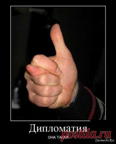 Эстонский депутат грубо указал Порошенко на место