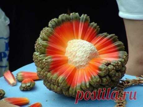 Мой Мир@Mail.Ru