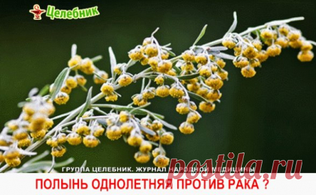 (8) Одноклассники