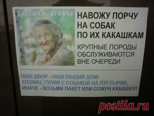 УВАЖАЕМЫЕ СОСЕДИ!...УМОРИТЕЛЬНЫЕ ОБЪЯВЛЕНИЯ В ПОДЪЕЗДАХ... | Сайт Союза Юмористов