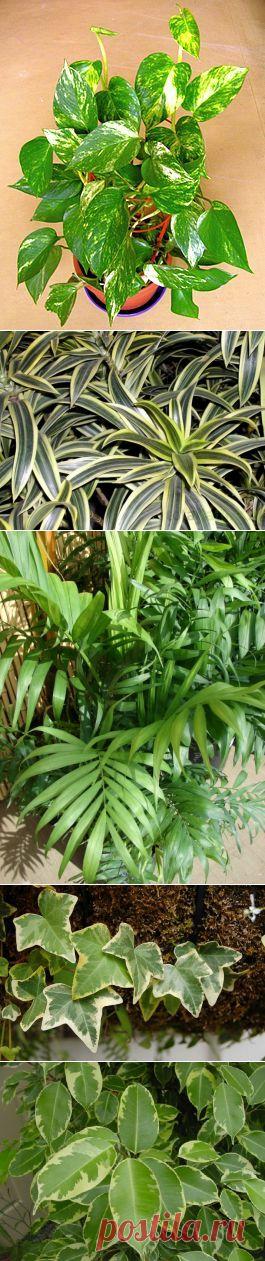 Забота о здоровье