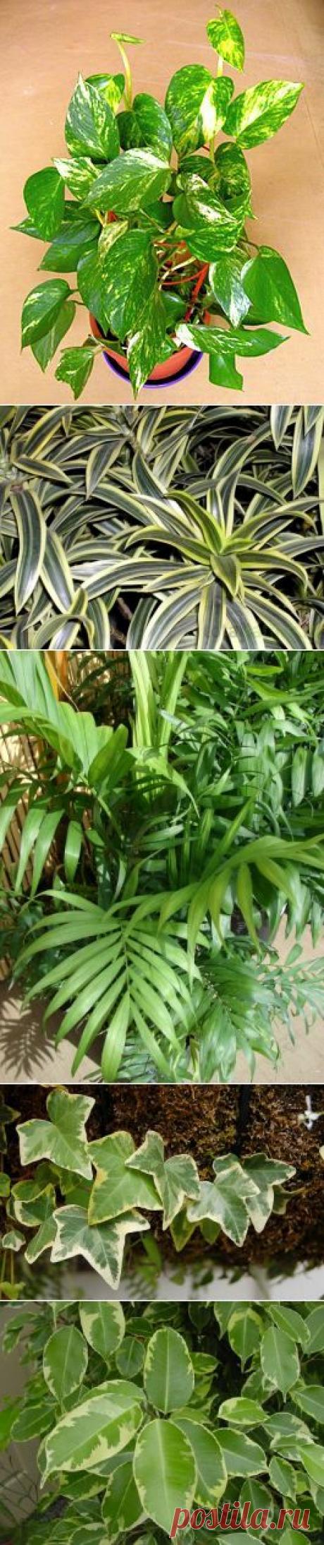 Забота о здоровье