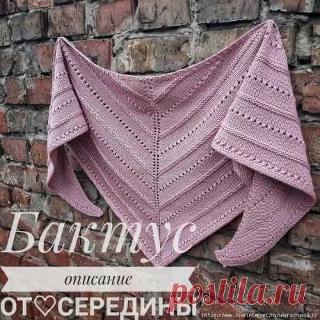 Бактус спицами. / knittingideas.ru