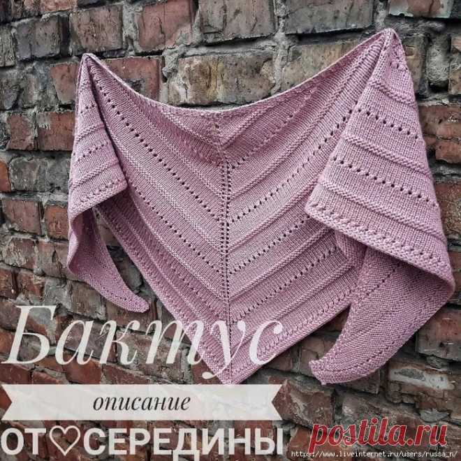 Бактус спицами. / knittingideas.ru