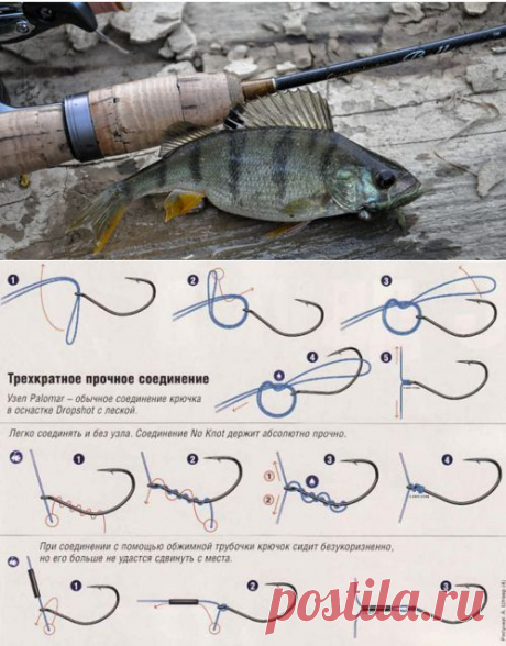 Улов гораздо больше
