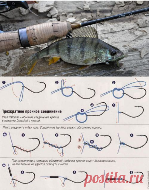 Улов гораздо больше