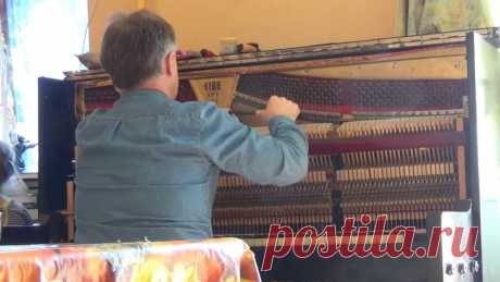 Настройщик. Piano Tuning - YouTube