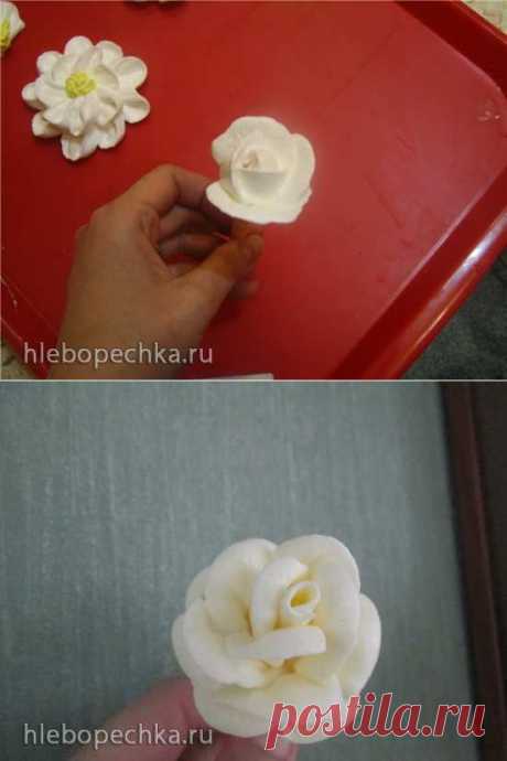 Насадки кондитерские &quot;Лепесток/роза/петля&quot; (petal tips) и работа с ними - ХЛЕБОПЕЧКА.РУ - рецепты, отзывы, инструкции