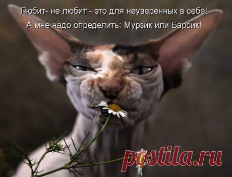 Красота - это СТРАШНАЯ сила...