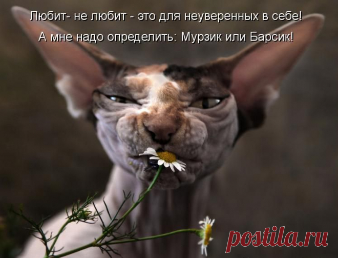 Красота - это СТРАШНАЯ сила...