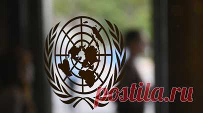 Суд ООН допустил принятие решения по иску Украины в течение шести месяцев. Международный суд Организации Объединённых Наций может принять решение по иску Украины в отношении России в течение шести месяцев, при этом конкретных сроков вынесения такого решения не обозначено. Читать далее