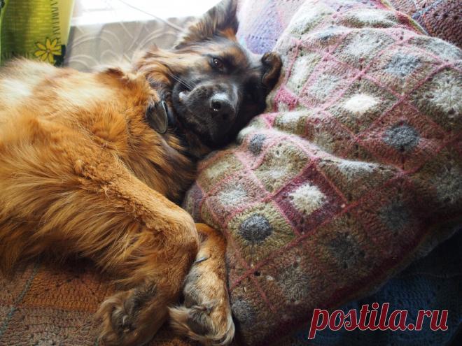 Ликвидация всё!.. Сдаём 13 вещиц из остатков и подводим итоги проекта | Дурушка вяжет. Живу. Люблю. | Дзен