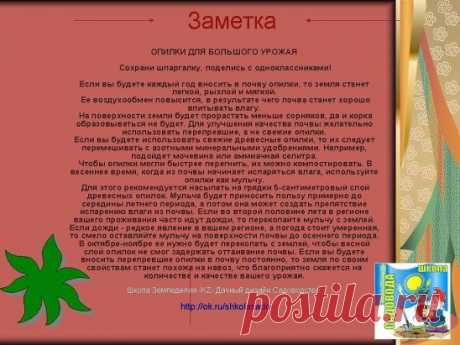 Опилки!