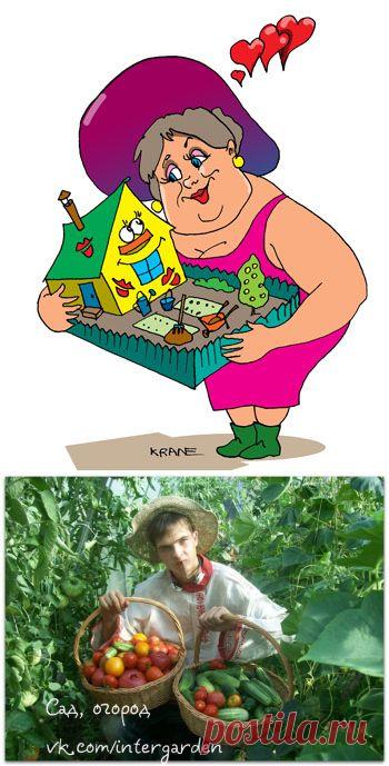 Что после чего сажать. Хитрости садоводов