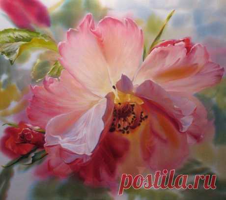 Фотографии на стене сообщества | 7 585 фотографий