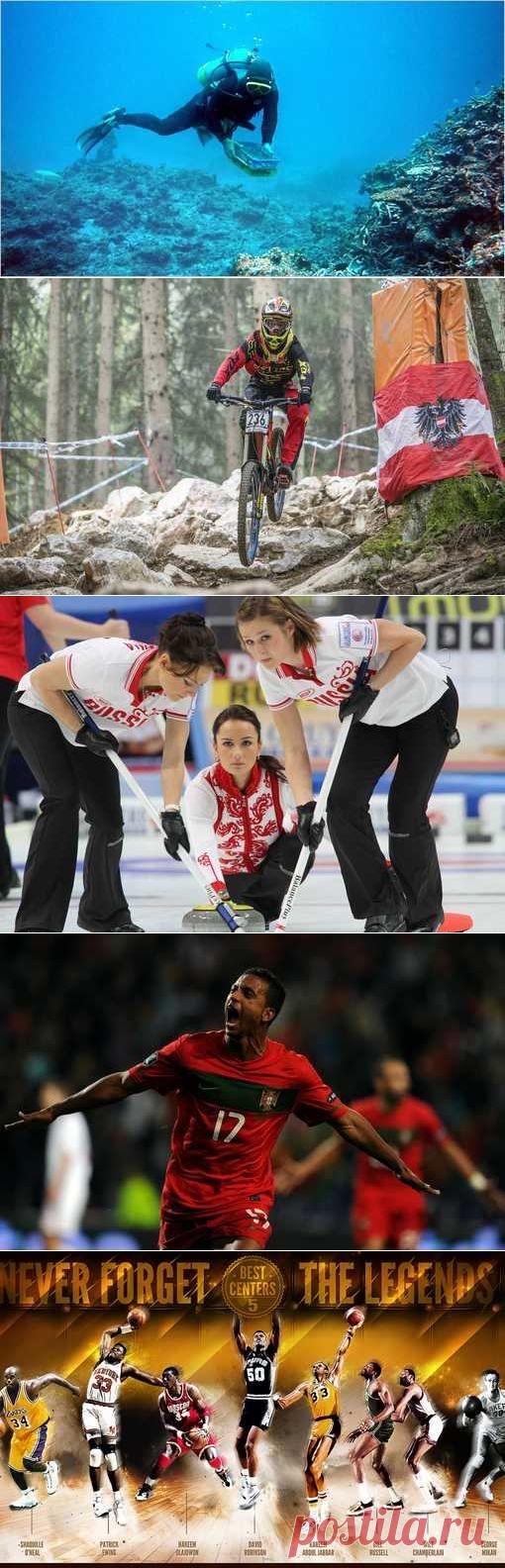 Гиревой спорт, Легкая атлетика, Блицспринт, Гиревой спорт. (1/1) - Спортивный форум. - Спортивный сайт