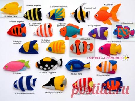 Korallenriff Fische fühlte sich Magnete, tropische Fische - Preis pro 1 Stück - machen Ihren eigenen Satz - Tang, Butterflyfish, Clownfische, Kaiserfische, Drückerfische