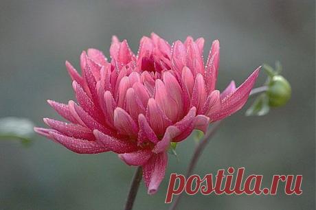 Мой Мир@Mail.Ru