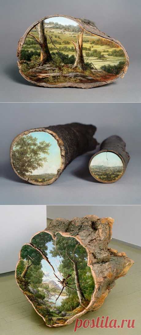 Картины на срезах деревьев Alison Moritsugu